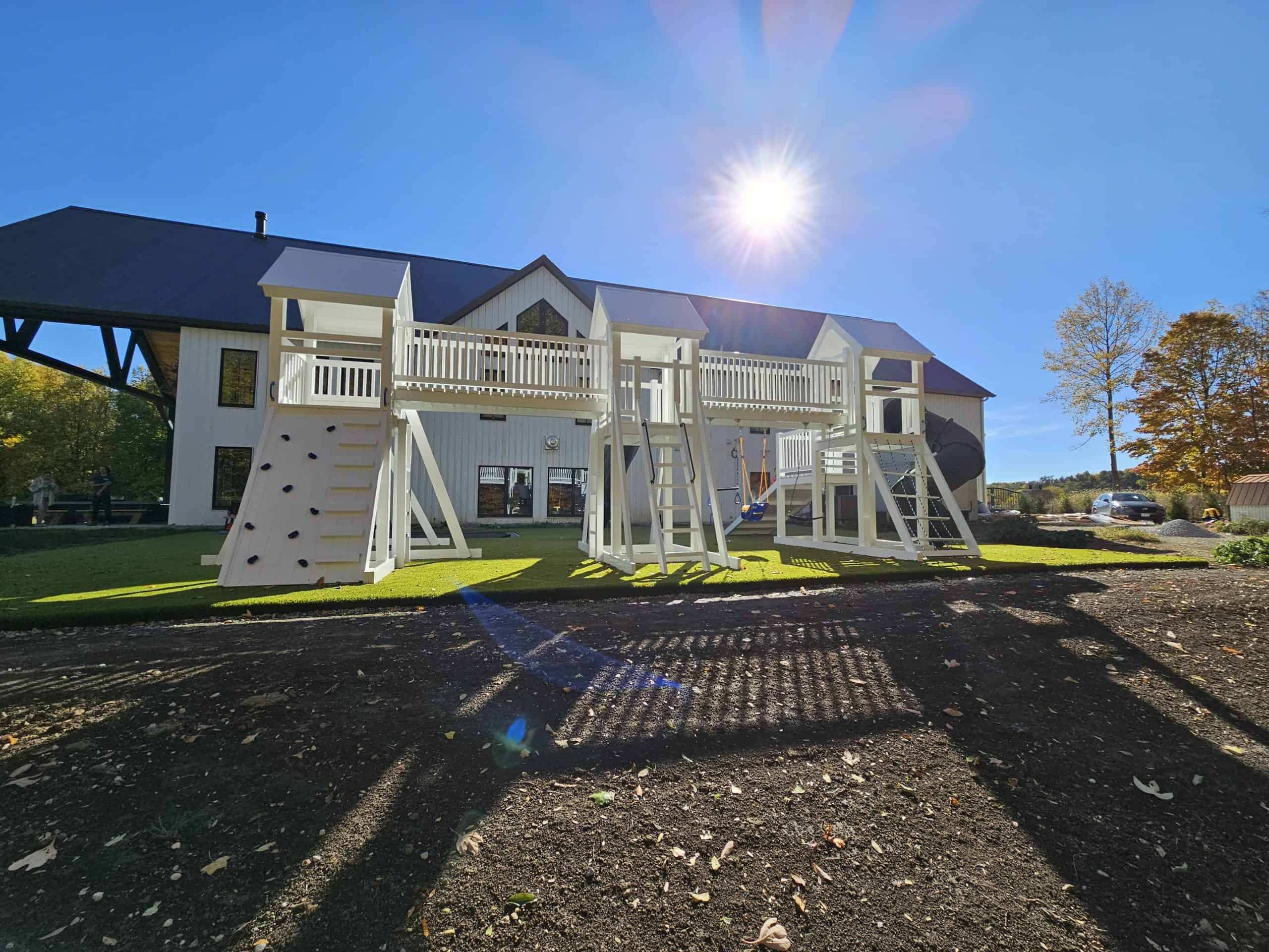 The Citadel - Backyard Swing Set - Image 6