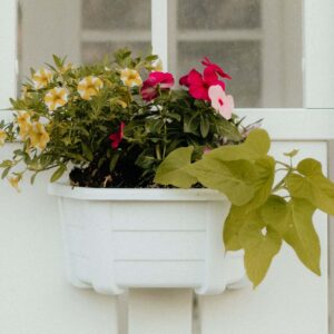 Flower Box